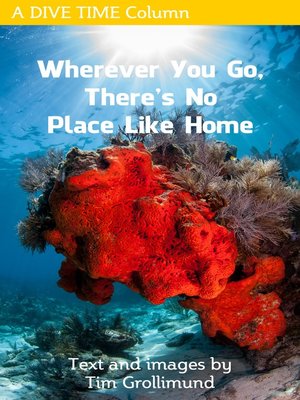 cover image of Wherever You Go, There's No Place Like Home
